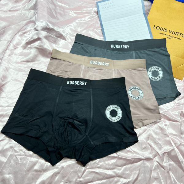 réplica,joyas,joyería,1:1,replica,fake,lujo,barato Ropa interior de lujo para hombre de Burberry (tres piezas)