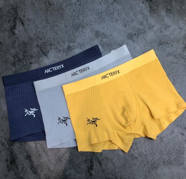 réplica,joyas,joyería,1:1,replica,fake,lujo,barato Ropa interior de lujo Arcteryx para hombre (tres piezas)