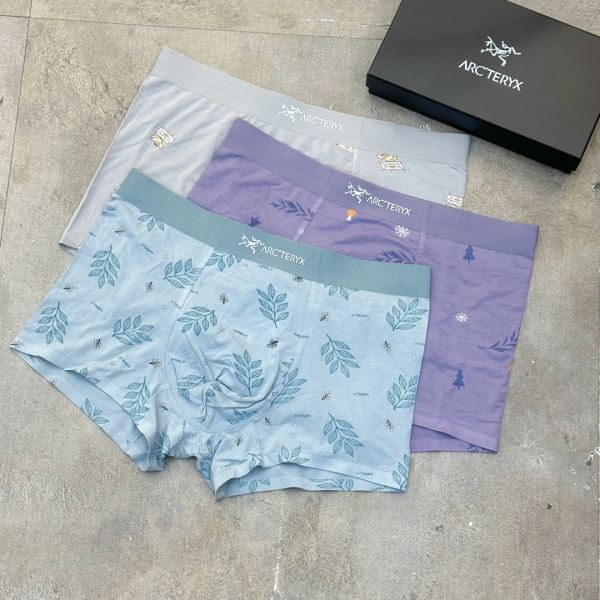 réplica,joyas,joyería,1:1,replica,fake,lujo,barato Ropa interior de lujo Arcteryx para hombre (tres piezas)