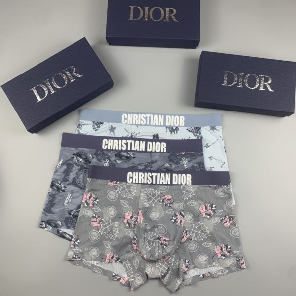 réplica,joyas,joyería,1:1,replica,fake,lujo,barato Ropa interior masculina de lujo Dior (tres piezas)