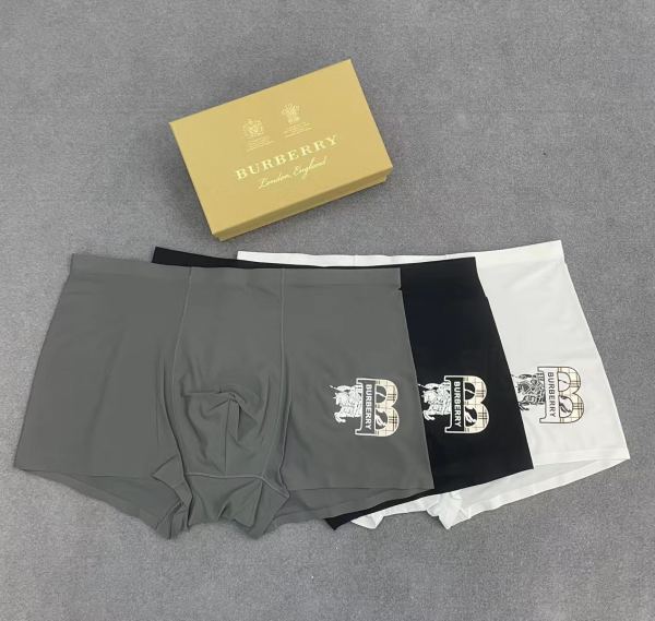 réplica,joyas,joyería,1:1,replica,fake,lujo,barato Ropa interior de lujo para hombre de Burberry (tres piezas)