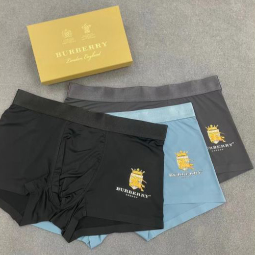réplica,joyas,joyería,1:1,replica,fake,lujo,barato Ropa interior de lujo para hombre de Burberry (tres piezas)
