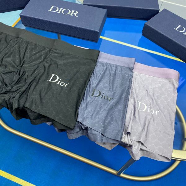 réplica,joyas,joyería,1:1,replica,fake,lujo,barato Ropa interior masculina Dior (Tres piezas)