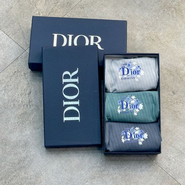 réplica,joyas,joyería,1:1,replica,fake,lujo,barato Ropa interior masculina Dior (Tres piezas)