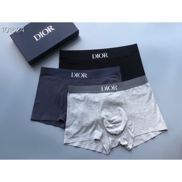 réplica,joyas,joyería,1:1,replica,fake,lujo,barato Ropa interior masculina Dior (Tres piezas)