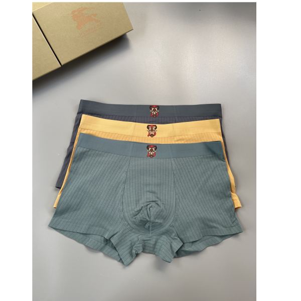 réplica,joyas,joyería,1:1,replica,fake,lujo,barato Ropa interior masculina Arcteryx (Tres piezas)
