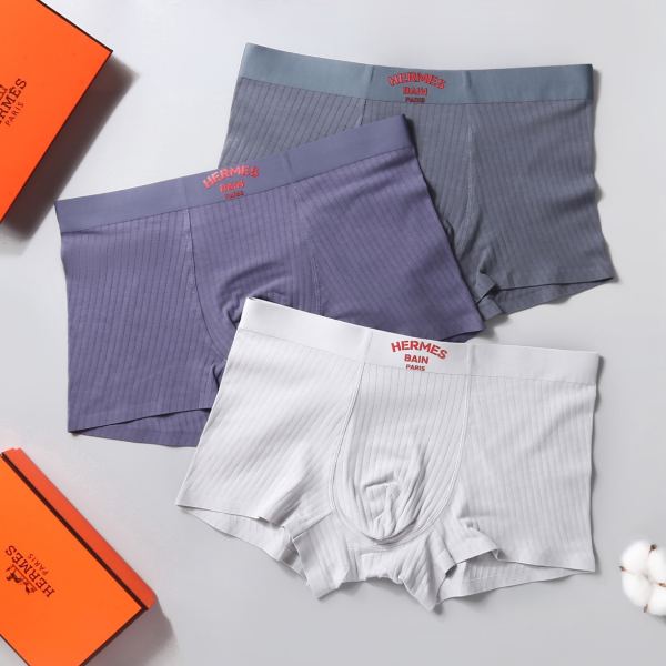 réplica,joyas,joyería,1:1,replica,fake,lujo,barato Ropa interior masculina Hermes (Tres piezas)