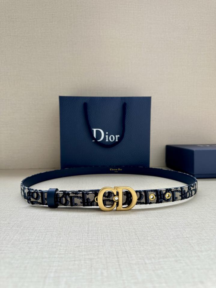 réplica,joyas,joyería,1:1,replica,fake,lujo,barato réplica,joyas,joyería,1:1,replica,fake,lujo,barato Correa de sillín Dior de 2,0 cm de ancho