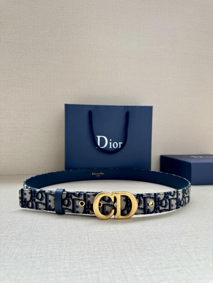 réplica,joyas,joyería,1:1,replica,fake,lujo,barato réplica,joyas,joyería,1:1,replica,fake,lujo,barato Correa de sillín Dior de 3,0 cm de ancho