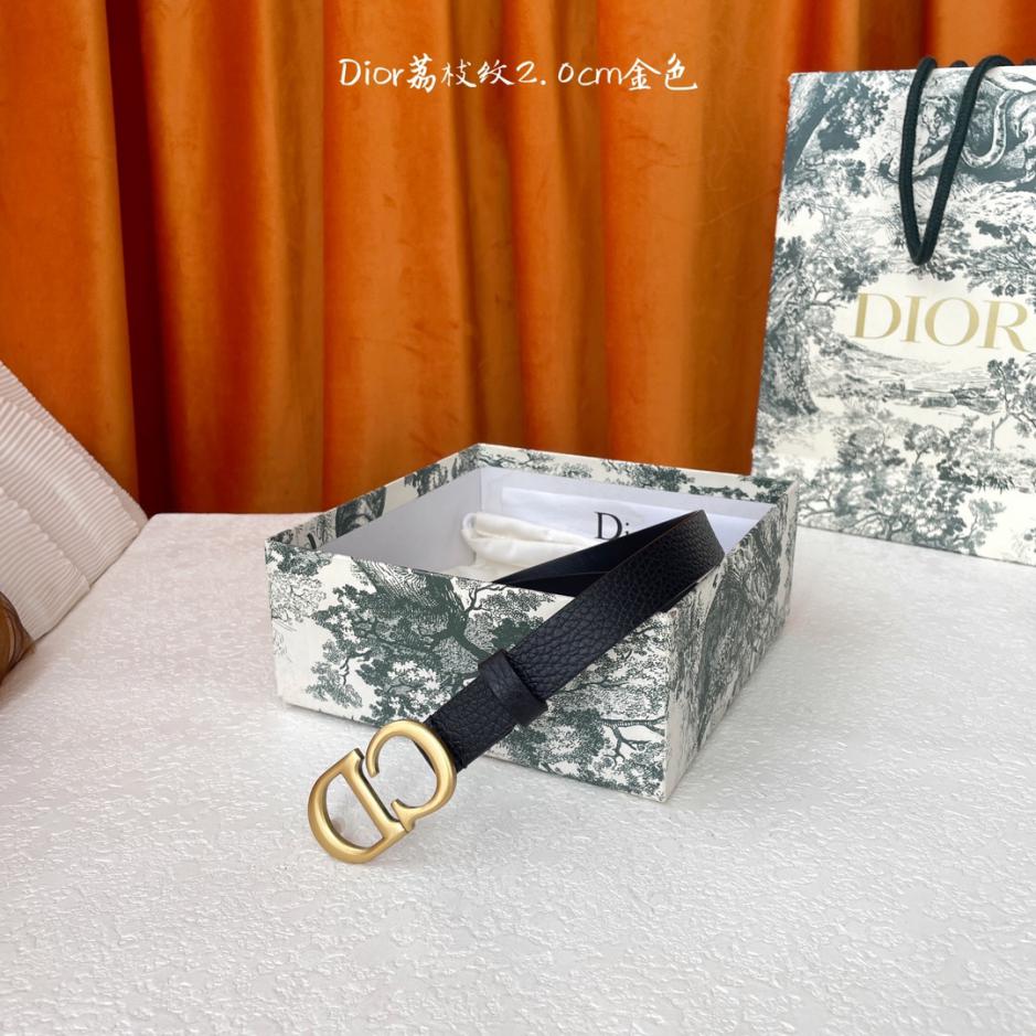 réplica,joyas,joyería,1:1,replica,fake,lujo,barato réplica,joyas,joyería,1:1,replica,fake,lujo,barato Cinturón de sillín Dior ancho 2,0 cm (Y9EVO)