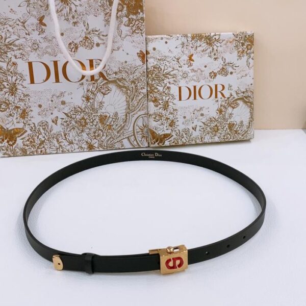 réplica,joyas,joyería,1:1,replica,fake,lujo,barato Cinturón politécnico Dior con hebilla bañada en oro (YXG3E)