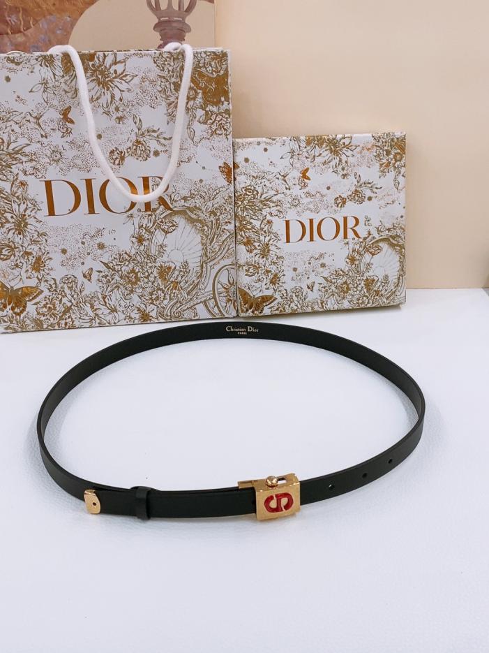 réplica,joyas,joyería,1:1,replica,fake,lujo,barato réplica,joyas,joyería,1:1,replica,fake,lujo,barato Cinturón politécnico Dior con hebilla bañada en oro (YXG3E)