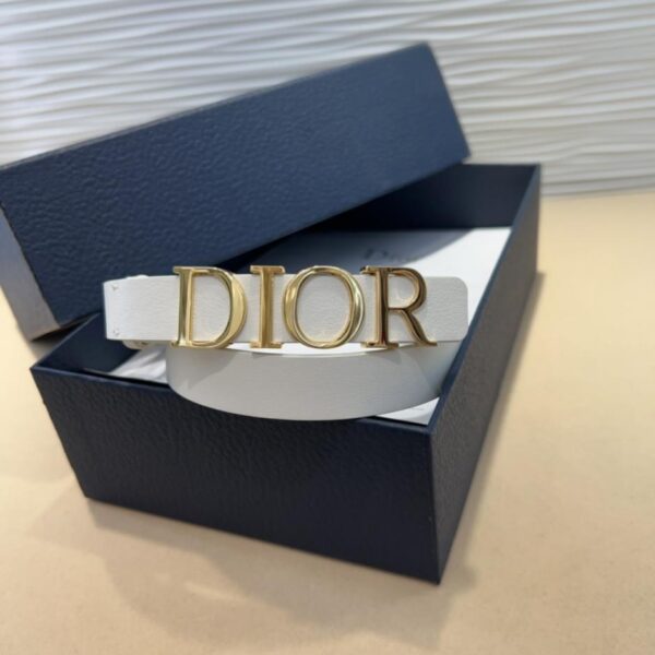 réplica,joyas,joyería,1:1,replica,fake,lujo,barato Cinturón nuevo de Dior (C2XIO)