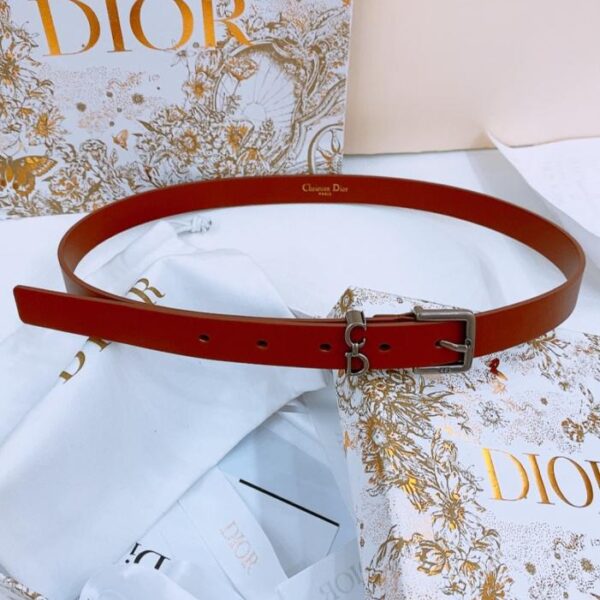 réplica,joyas,joyería,1:1,replica,fake,lujo,barato Cinturón Dior Saddle Loop (U5ICL)