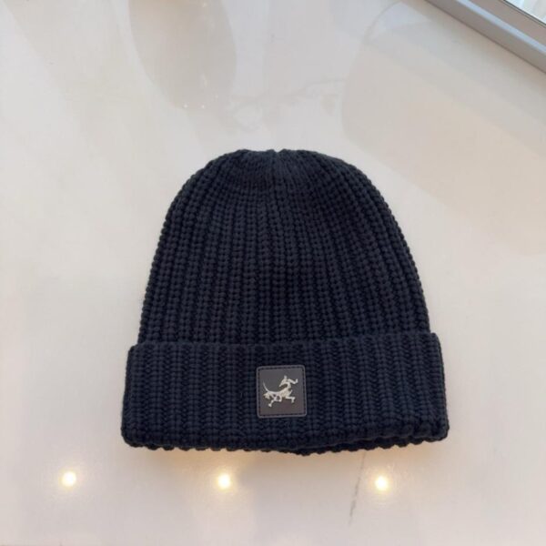 réplica,joyas,joyería,1:1,replica,fake,lujo,barato Nuevo gorro de punto Arc’teryx, mismo estilo que en las tiendas oficiales, forro polar de doble capa para mayor calidez, unisex (BBNYM)