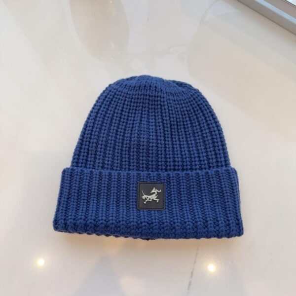 réplica,joyas,joyería,1:1,replica,fake,lujo,barato El nuevo gorro de lana de Arc’teryx (D5YN2)