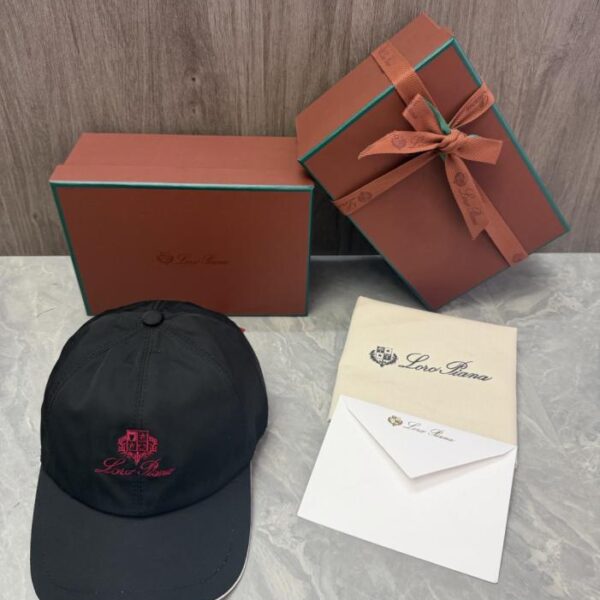 réplica,joyas,joyería,1:1,replica,fake,lujo,barato Gorra de béisbol Loro Piana Storm System (ZB9MEM)