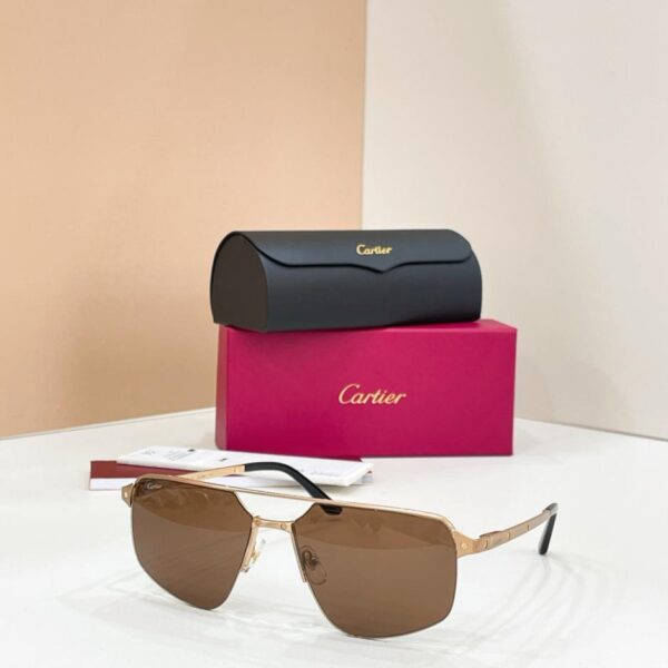 réplica,joyas,joyería,1:1,replica,fake,lujo,barato Gafas Cartier, modelo CT0385S (FHFKLM)