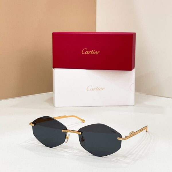 réplica,joyas,joyería,1:1,replica,fake,lujo,barato Gafas Cartier, modelo CT0487S (I8V3FB)