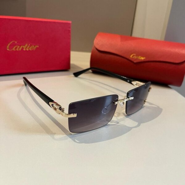 réplica,joyas,joyería,1:1,replica,fake,lujo,barato Gafas de sol Cartier Precious – Patillas de policarbonato metalizado, sin montura, acabado galvanizado ultraligero (Q8T9QV)