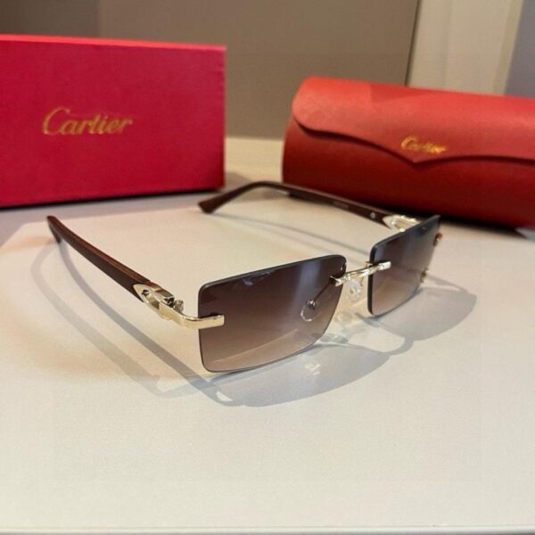 réplica,joyas,joyería,1:1,replica,fake,lujo,barato Gafas de sol Cartier Precious – Patillas de policarbonato metalizado, sin montura, acabado galvanizado ultraligero (DD5IIE)